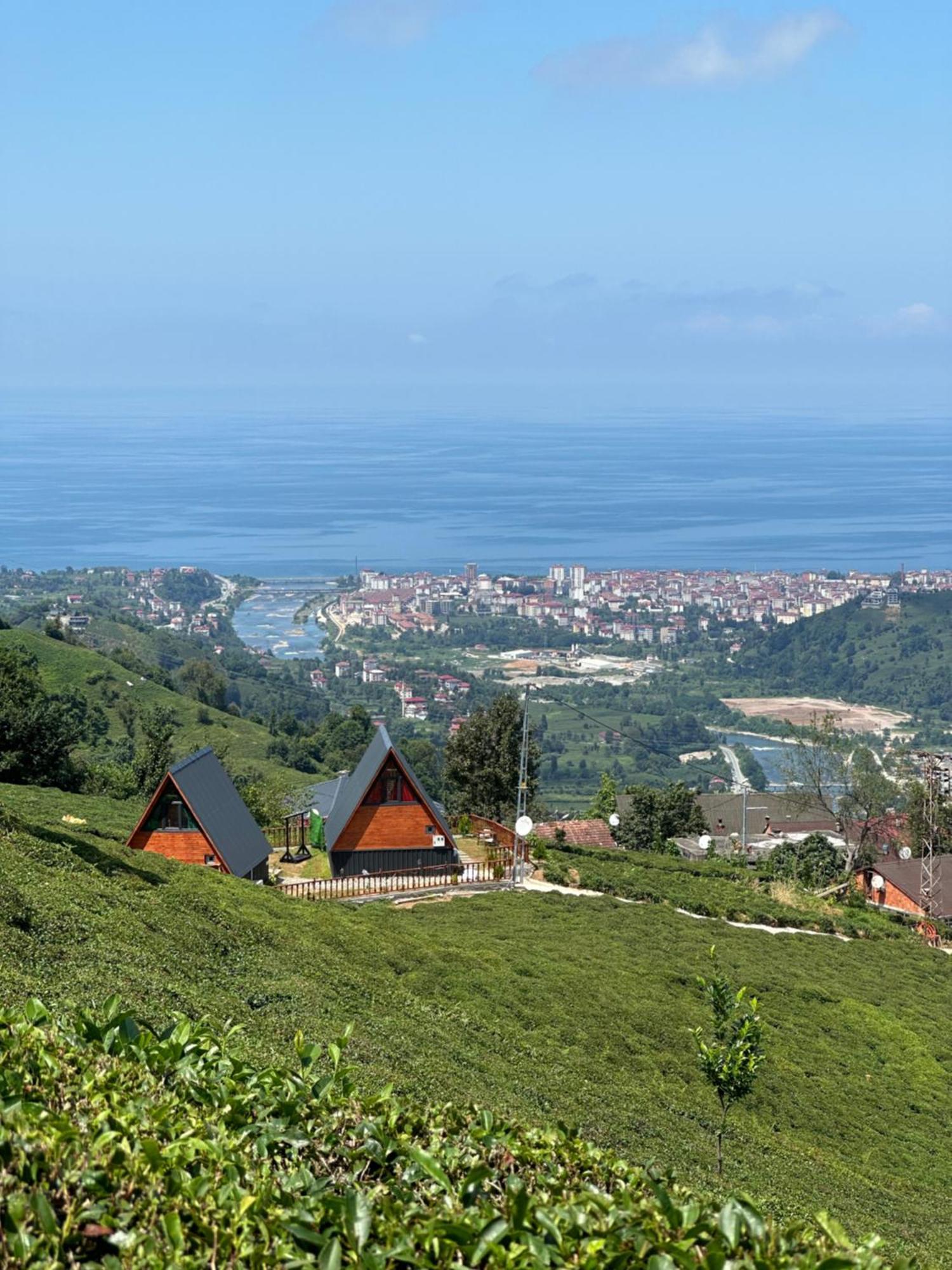 Orman Evi Yamacdere